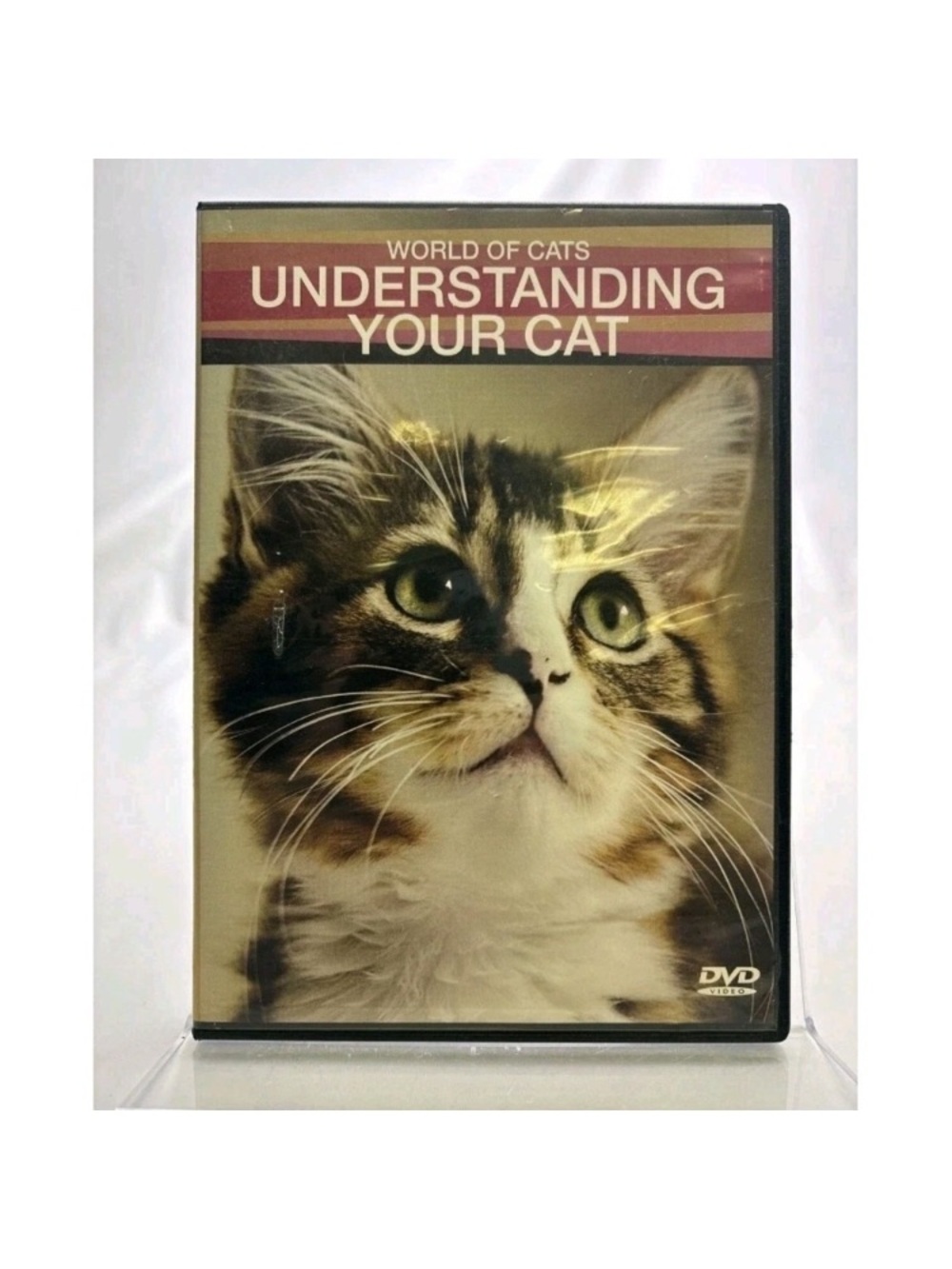 : Understanding Your Cat DVD - Brown & White